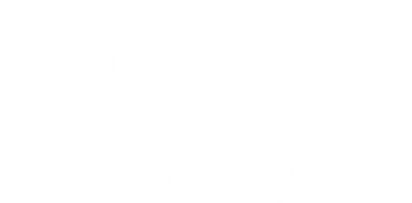 C-Robotics.kz